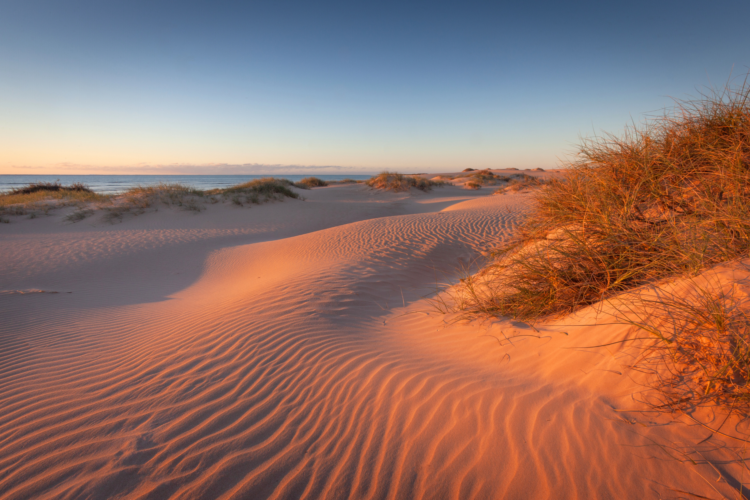 185 montgomery reef, western australia.webp